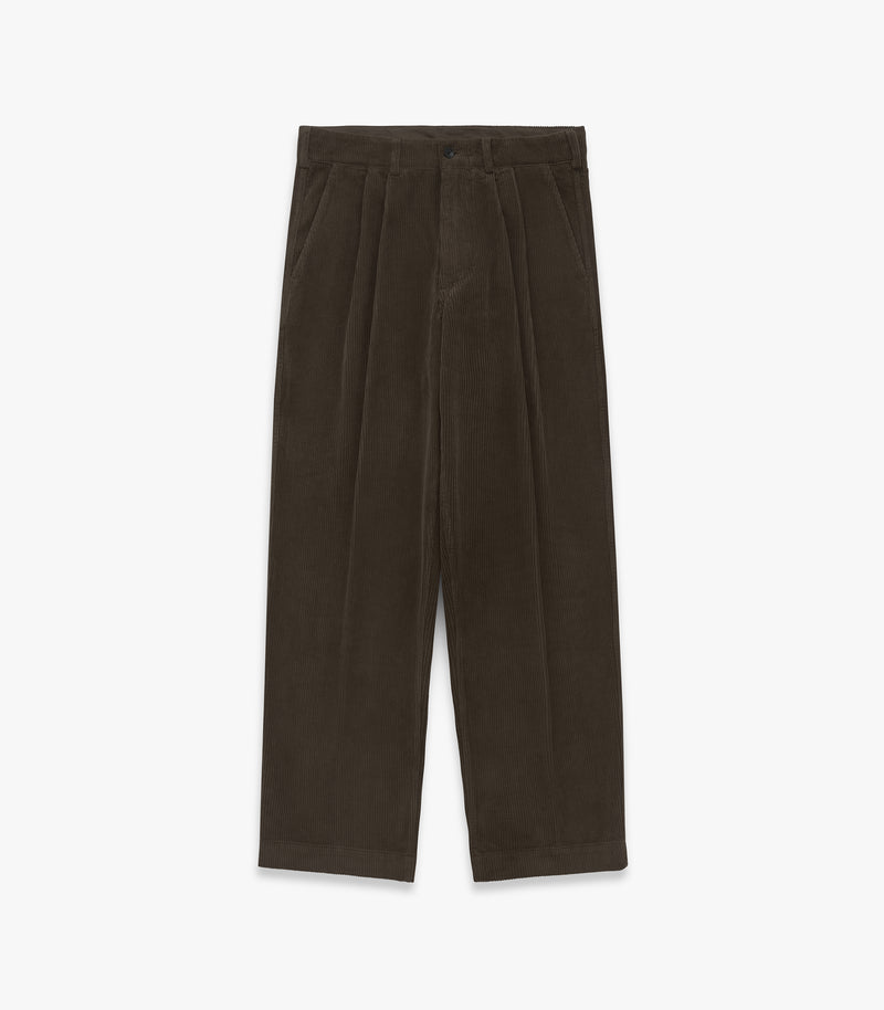 Canal Pleated Corduroy Cotton Pant in Coffee
