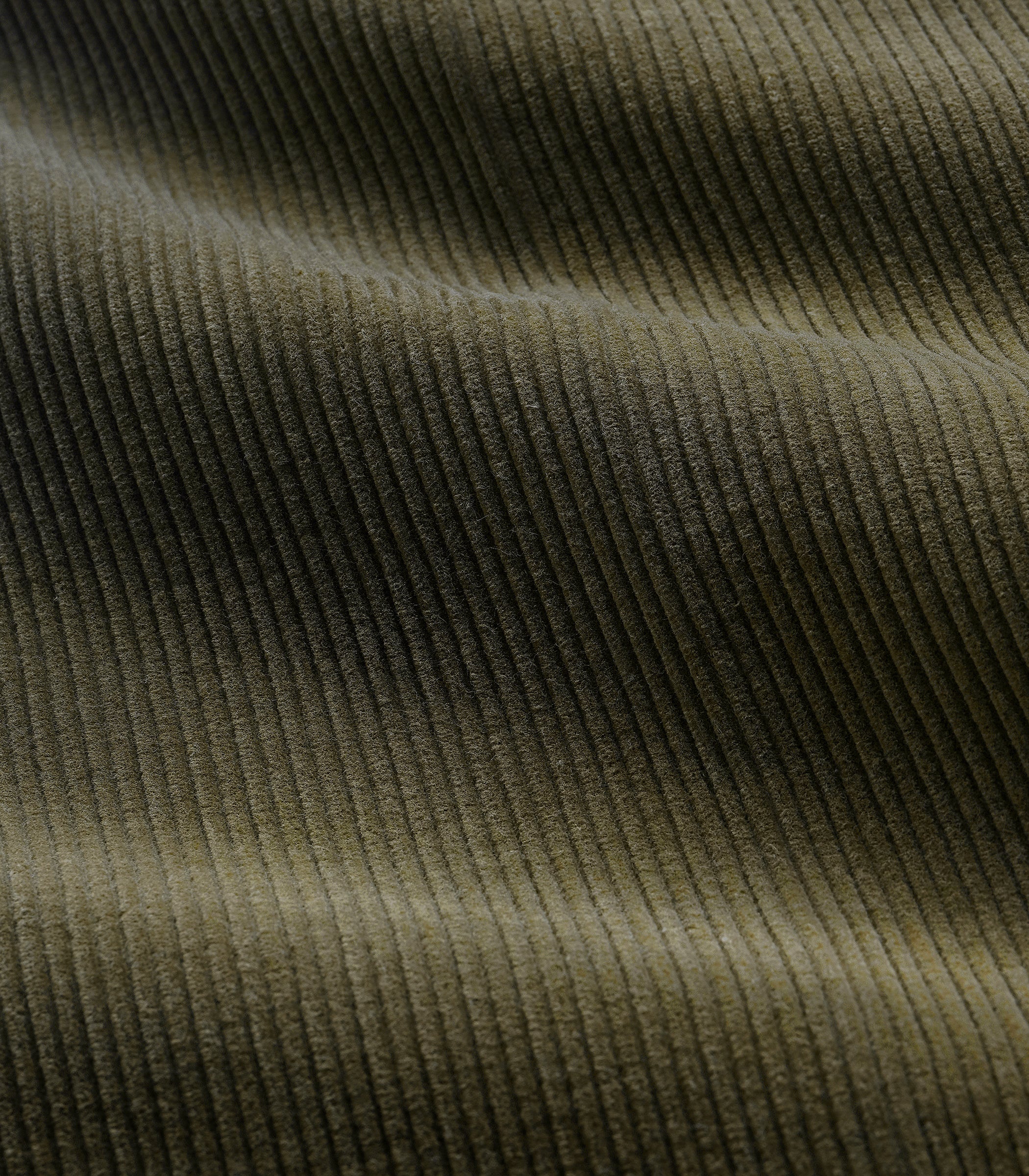 Canal Pleated Corduroy Cotton Pant in Moss